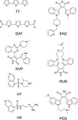 The thiophene α-terthienylmethanol isolated from Tagetes minuta inhibits angiogenesis by targeting protein kinase C isozymes α and β2